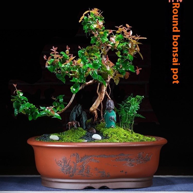 Purple Sand Flower Pot Oval Bonsai Basin Succulent Plant Platter Old Pile