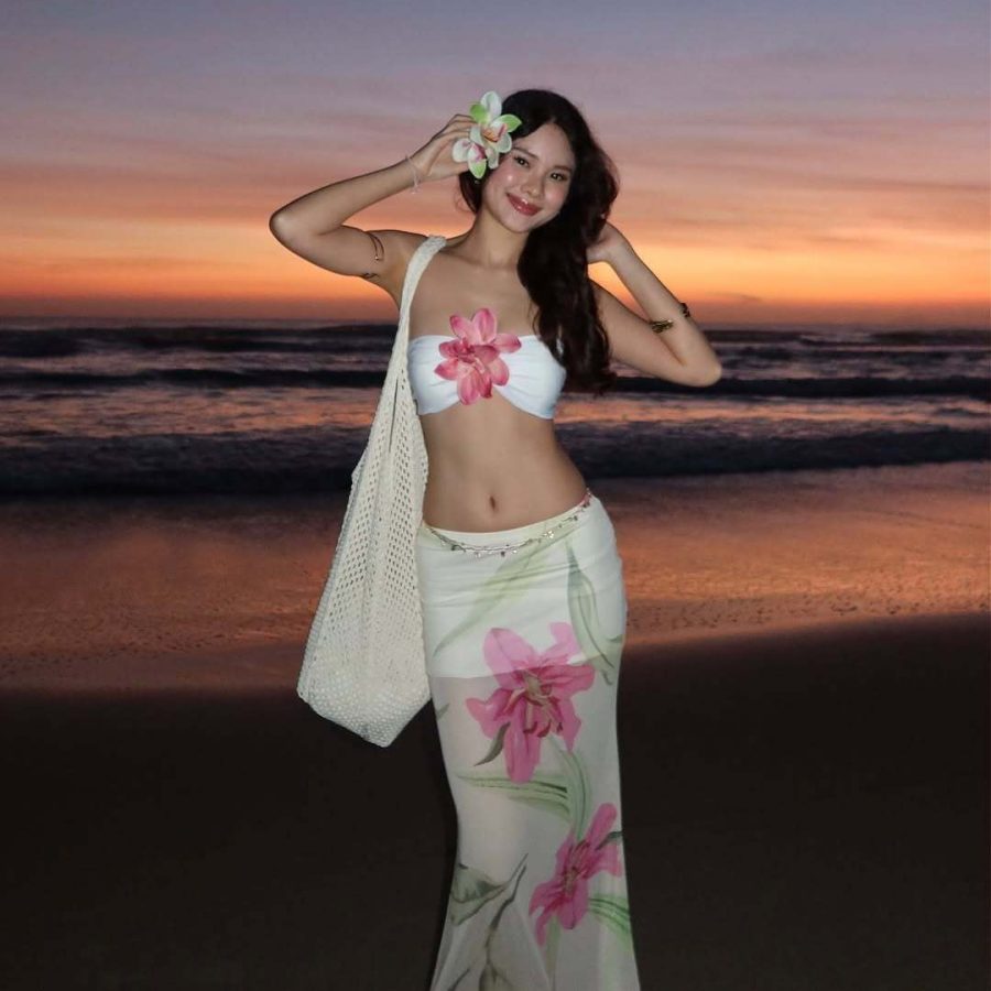 Summer New Fashion Printed Tube Top Hip Skirt Women's Suit