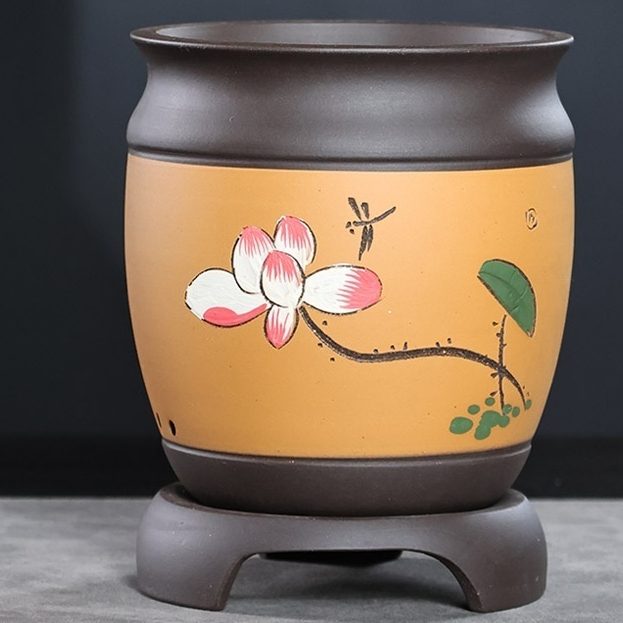 Phalaenopsis Chinese Rose Household Clivia Flowerpot With Tray