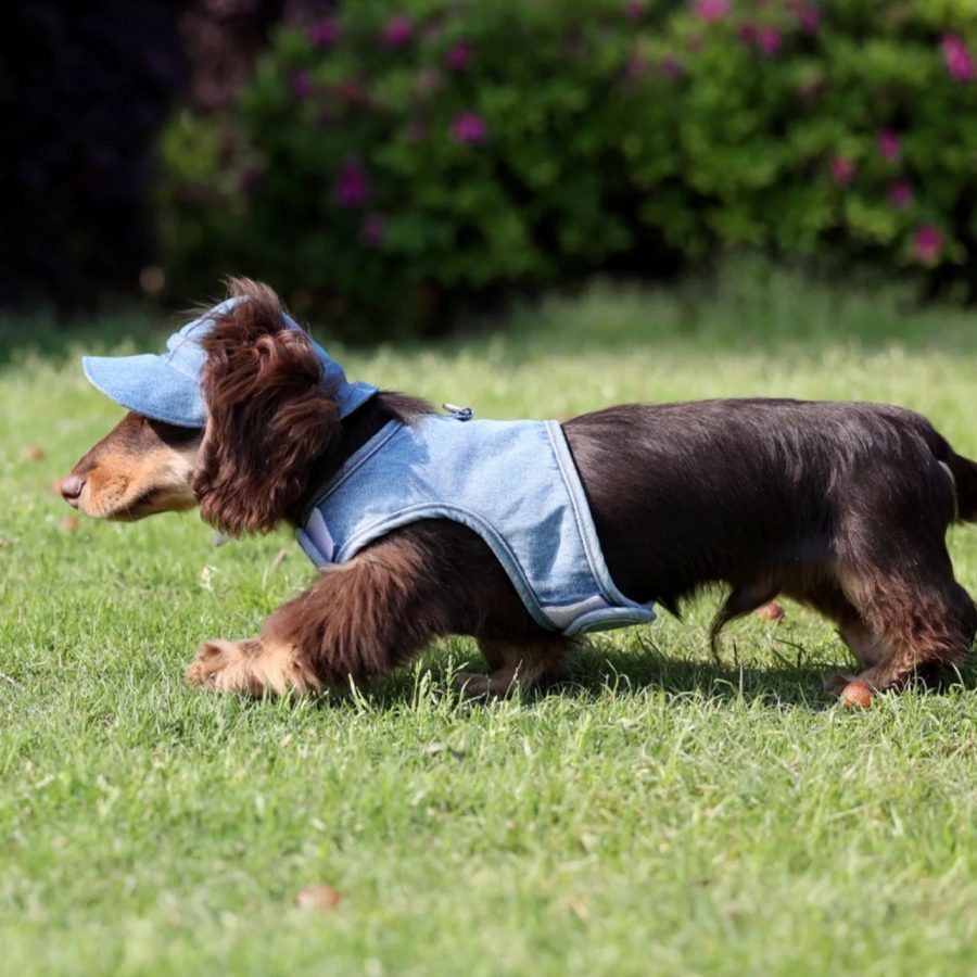 Pet Wild Cowboy Hat Sunscreen Dog Sun Protection Hat