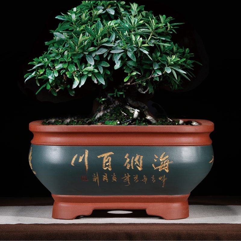 Chinese Style Rectangular Basin Large Square Ceramics Flowerpot
